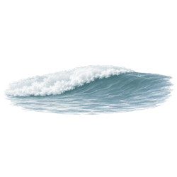 Mushy wave